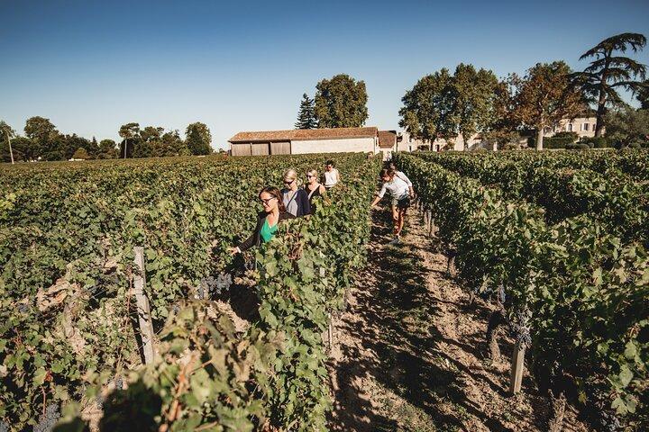 Saint-Emilion Dagtour met eten en wijn