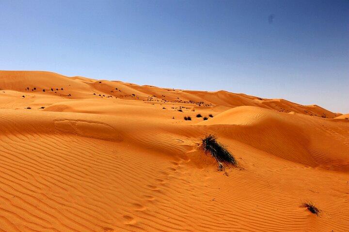 Excursion d'une journée à Wahiba Sands et Wadi Bani Khalid