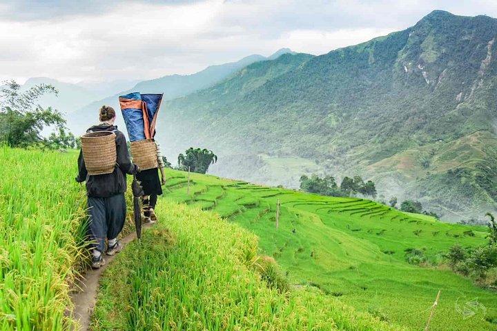 5 días de caminata por el Parque Nacional Hoang Lien a Lao Cai