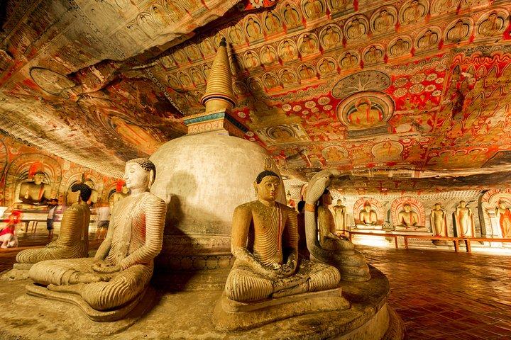 Colombo a Kandy Shuttle con Dambulla Sightseeing Tour