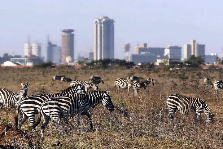 Nairobi Airport Layover: Tour Nairobi National Park