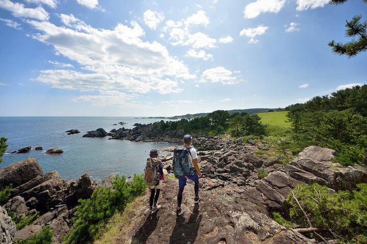 Excursion privée d'une journée à Hachinohe avec un guide agréé par le gouvernement