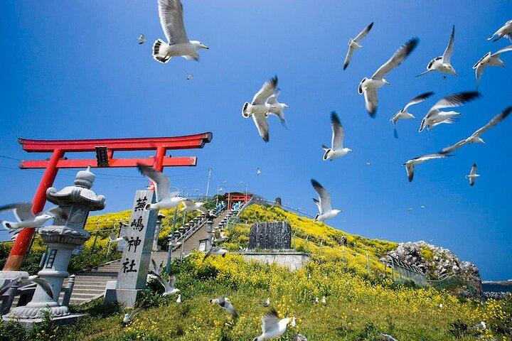 Excursion privée d'une journée à Hachinohe avec un guide agréé par le gouvernement