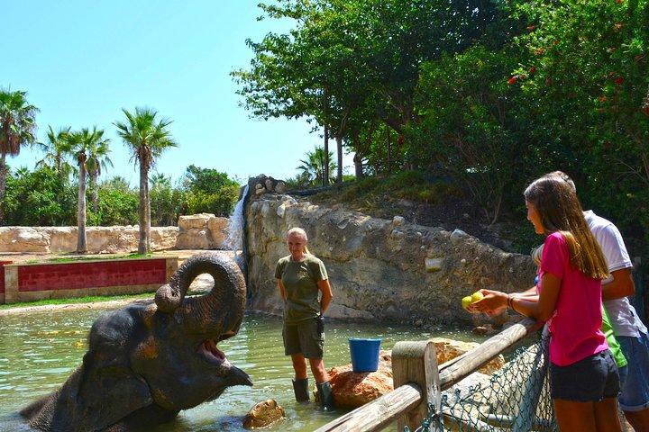 Offre billet d'entrée Summer Terra Natura Benidorm