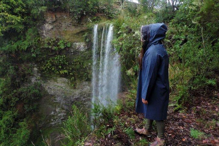 Aventura da natureza costeira em Chiloe