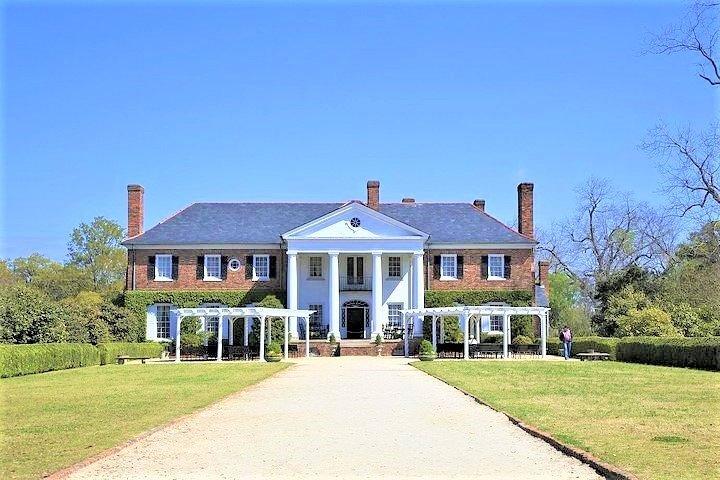 Admissão e excursão à plantação de Boone Hall com transporte de Charleston