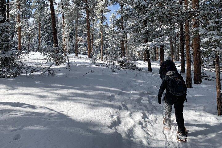 Sneskoeventyr i Rocky Mountains tæt på Denver