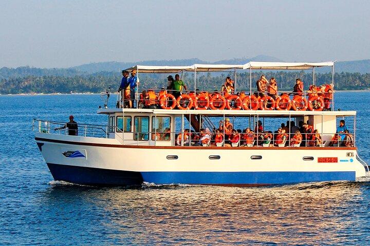 Whale Watching da Galle su barca condivisa