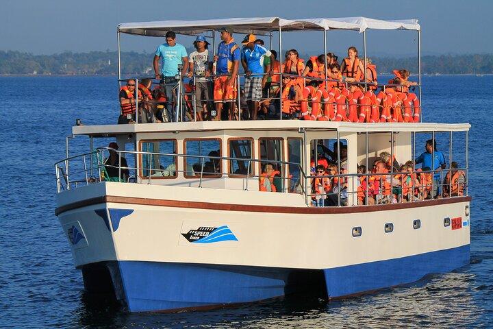 Walvissen spotten vanuit Beruwala op gedeelde boot