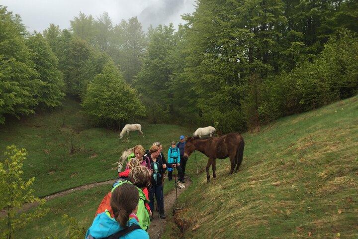5 Tage Wanderung in den Norden Albaniens