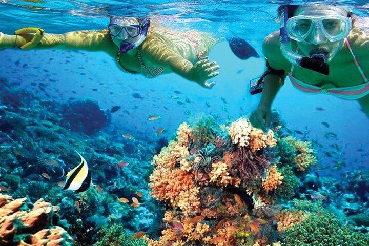 シュノーケリング、ランチ、オープンバーを含むムヘレス島へのカタマランセーリング