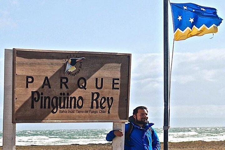 King Penguin Park från Punta Arenas
