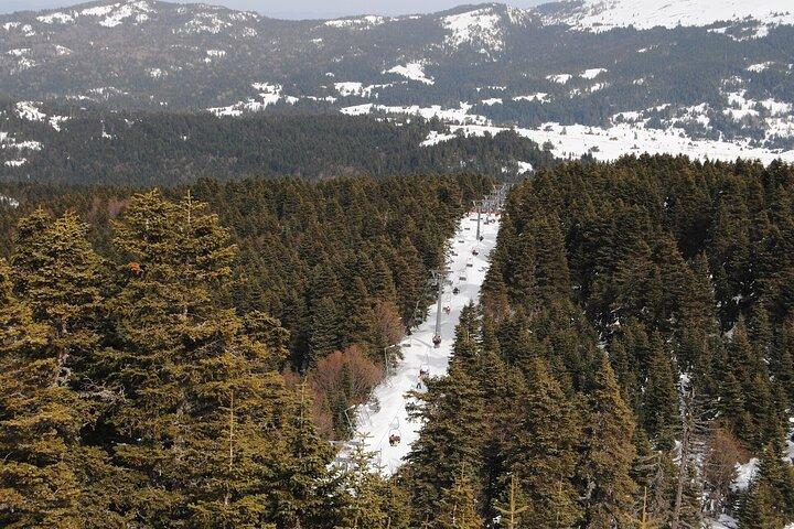 - Full Day Green Bursa + Cable Car + Lunch