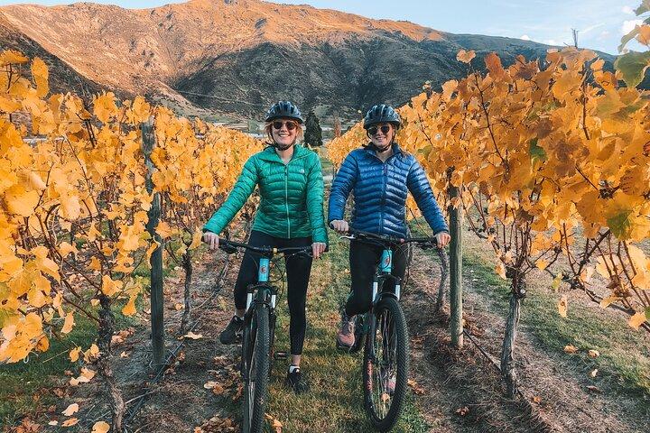 Bike The Wineries (Heldag) - Cykel & Vintur