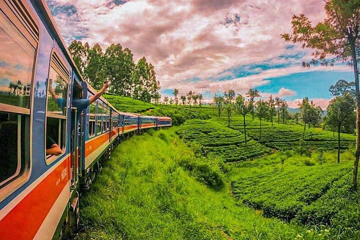 Ella to Peradeniya train ride on (Train No: 1002 "Denuwara Menike")