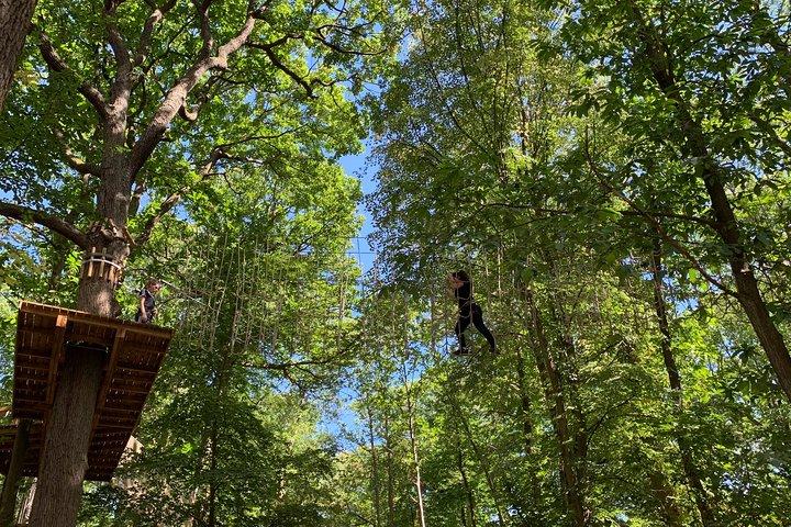 AccroCamp Meudon Forest - Boomtopavonturenparcours