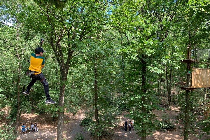 AccroCamp Meudon Forest - Boomtopavonturenparcours