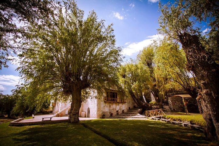 Tour privato di mezza giornata al convento di Santa Catalina e al mulino Sabandía