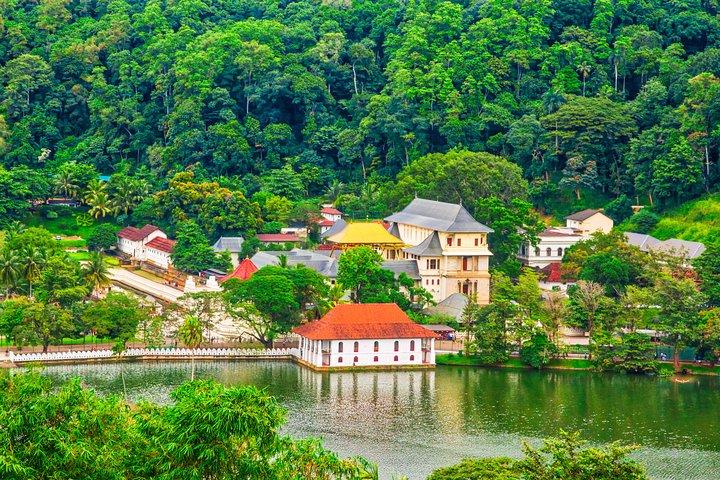 Visite photographique au Sri Lanka (7 jours)