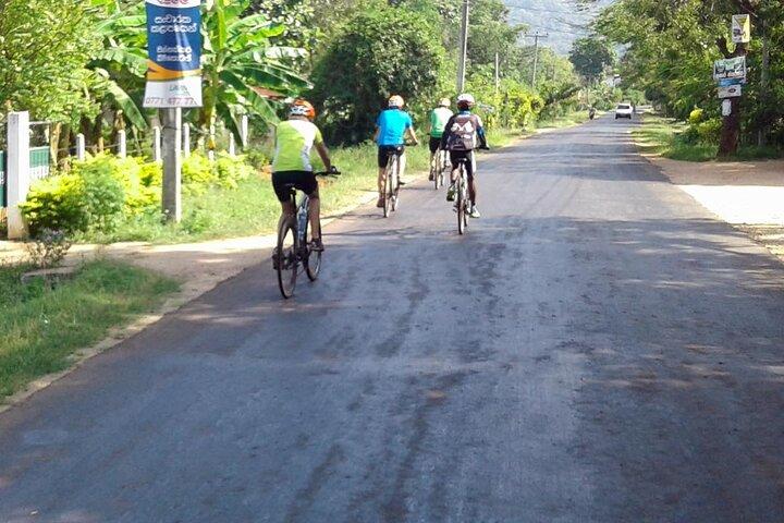 Ella Cycling Experience in Ella