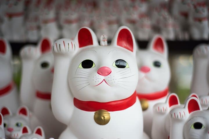 Tokyo Half-day Customized Private Tour