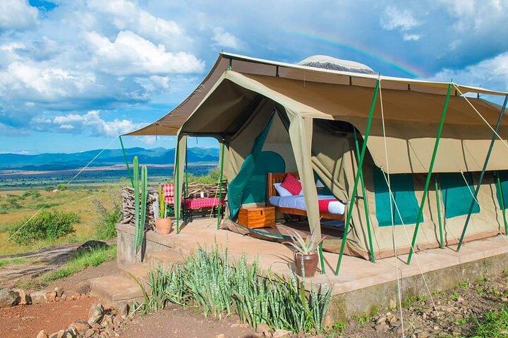 Excursão de 3 dias em Murchison Falls Safari e Rhino Tracking