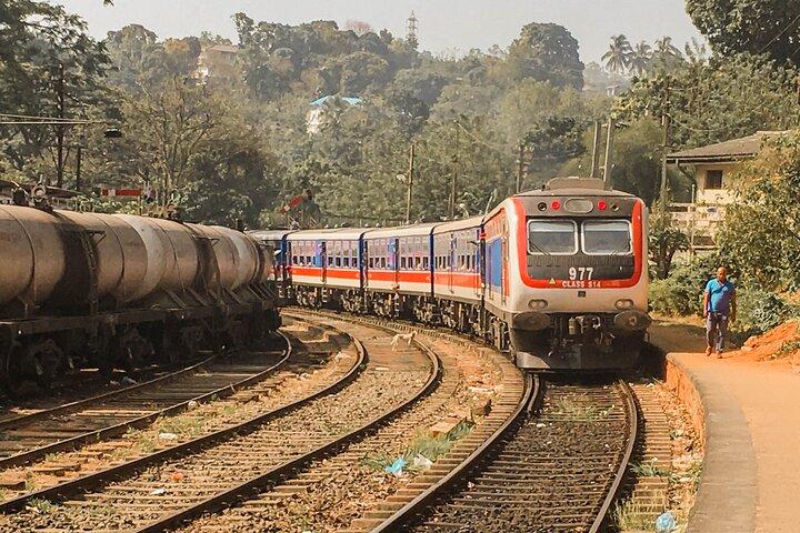 Faits saillants du Sri Lanka en train (12)
