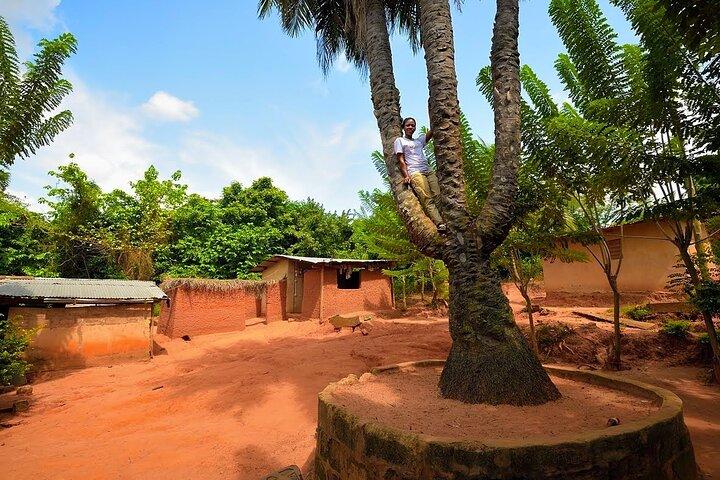 Uma excursão às Cataratas de Boti
