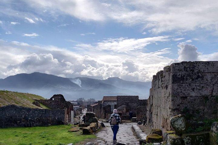 Tour di Pompei al Vesuvio con i biglietti Skip-the-Line per le rovine e il cratere vulcanico