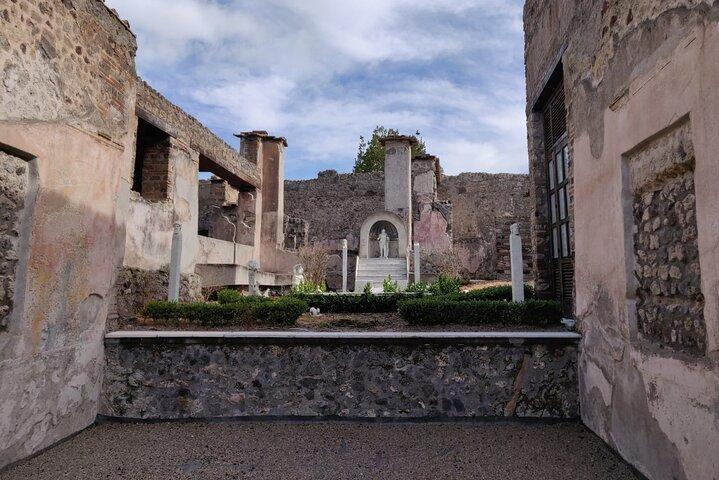 Tour di Pompei al Vesuvio con i biglietti Skip-the-Line per le rovine e il cratere vulcanico
