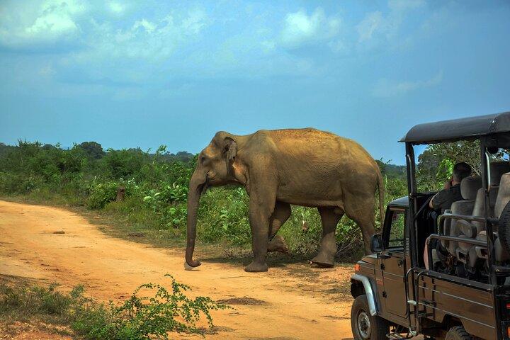 Udawalawe National Park Safari de Talpe