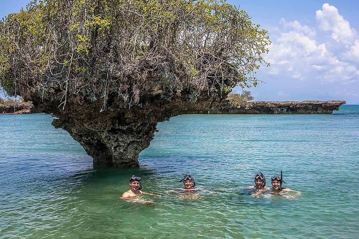 Private Full-day Safari Blue Trip with Lunch buffet