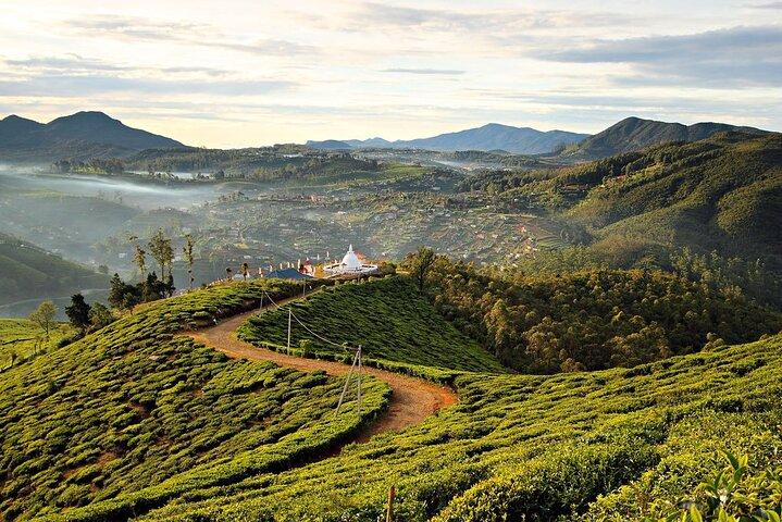 Trekking til Single Tree Hill i Nuwara Eliya