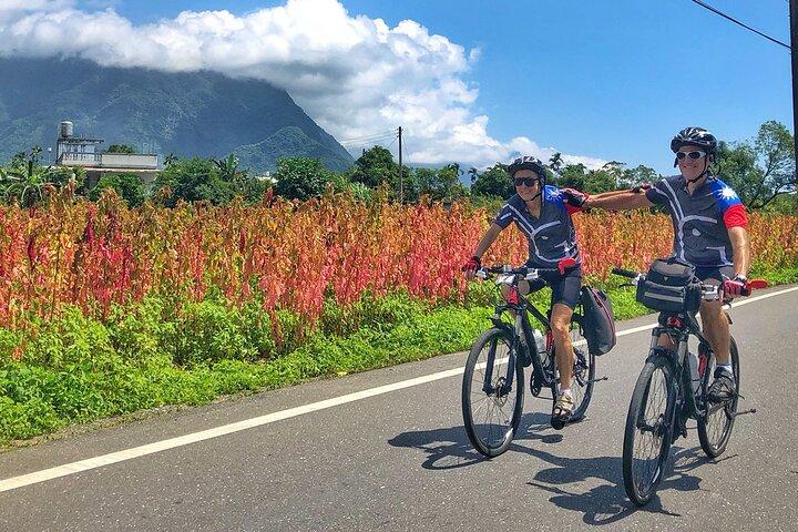 コロンボからのオランダの足跡サイクリング ツアー