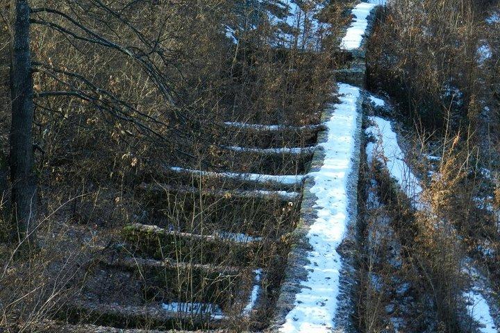 Da Sofia: Vratsa e la regione - storia, cultura e natura