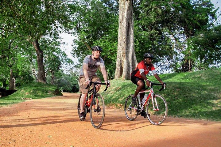 キャンディからのバラナ戦場サイクリングツアー
