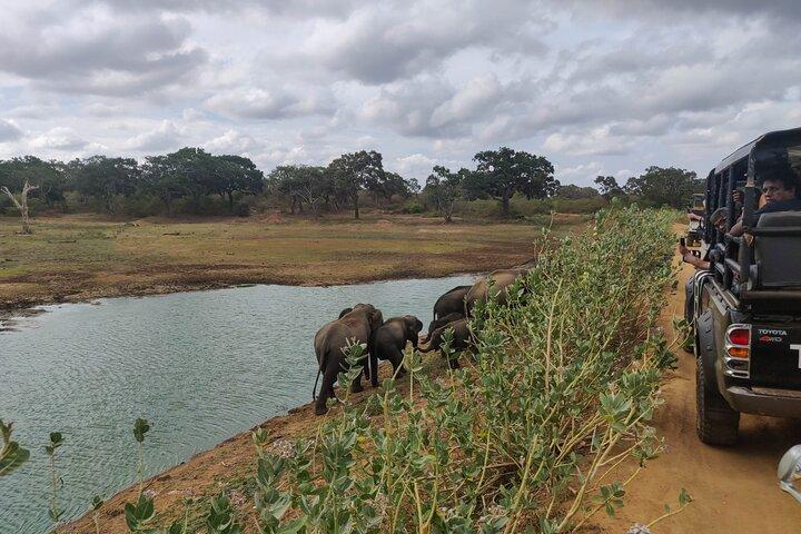 Yala National Park Safari von Koggala