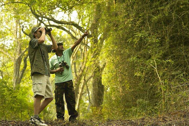 Rainforest Explorer vanuit Bentota (2 dagen)