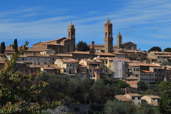Visite privée à pied de Sienne avec un guide professionnel