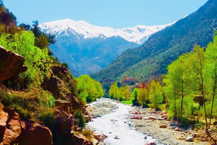 Marrakech: Ourika Valley & Waterfalls Guided Day Trip