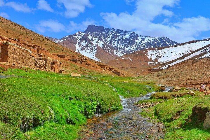 Marrakech: Ourika Valley & Waterfalls Guided Day Trip