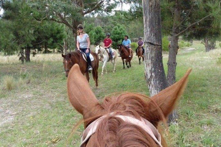 1.5 hr Cabalgata Montevideo, Uruguay, con transporte