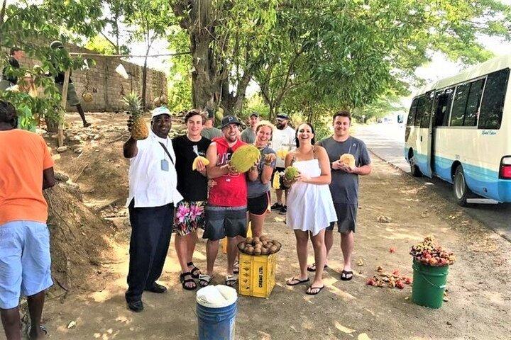 Excursion privée de la Jamaïque au départ d'Ocho Rios