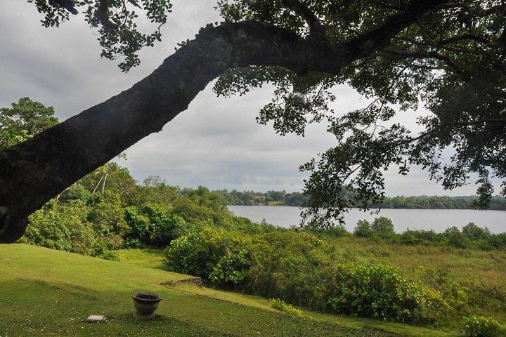 Tour della città di Bentota da Wadduwa