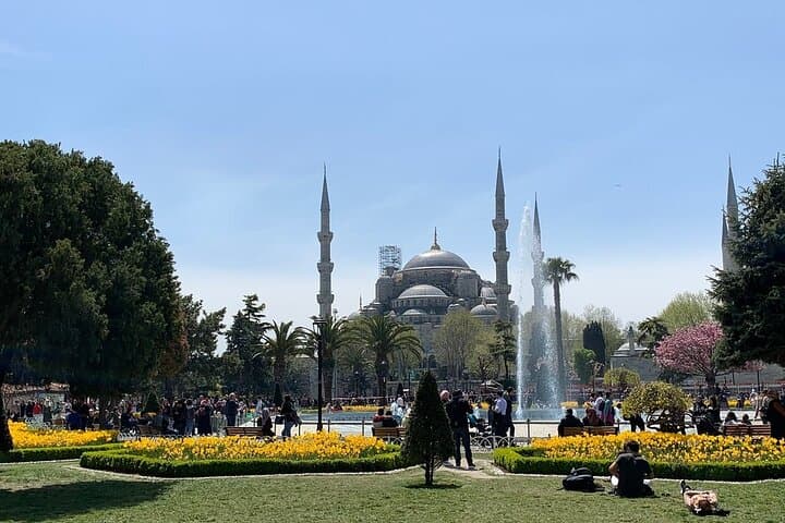 Istanbul Highlights from Cruise Pier with Skip-the-Ticket-Line