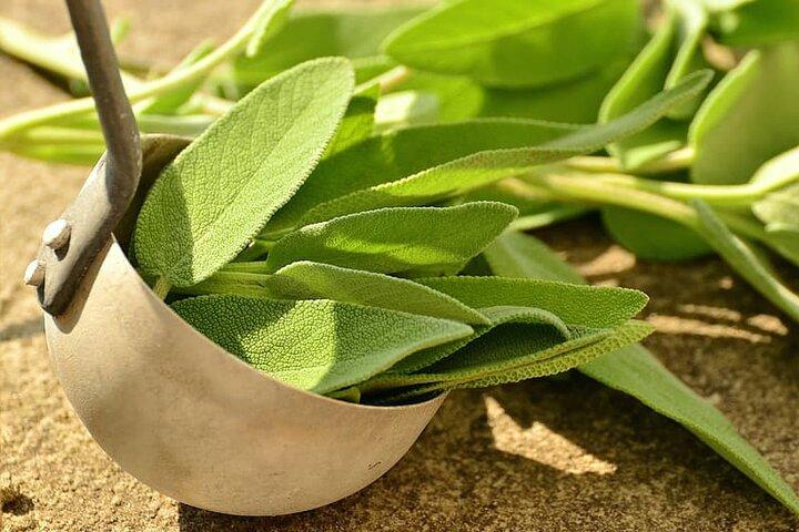 Spice Tour e pranzo in casa Goan in una piantagione biologica