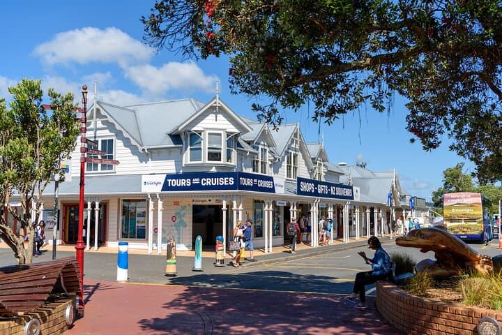 Bay of Islands Heritage Experience from Auckland incl. Waitangi & Russell
