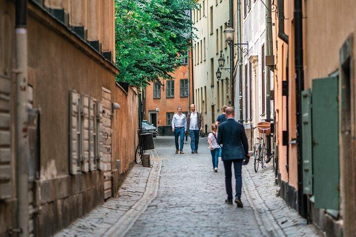 Stockholms Gamla Stan & Vasamuseet Privat rundvandring