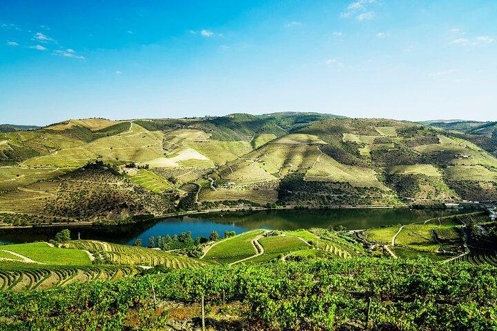 Privat Douro Valley Tour inklusive 3 vingårde