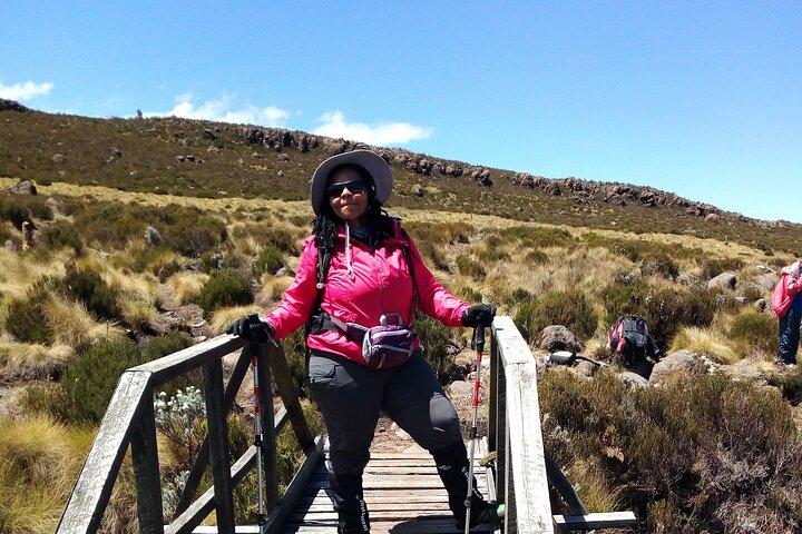 Mount Kilimanjaro Day Hike